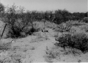 Photo Archive No. 093.1.1986.10