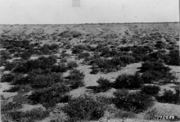 Photo Archive No. 108.1.1923.06