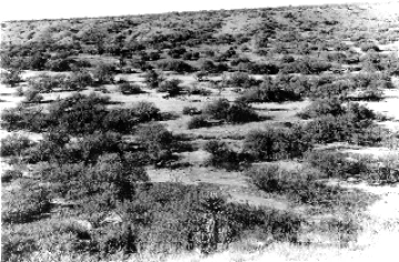 Photo Archive No. 108.1.1935.09