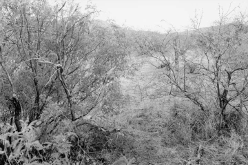 Photo Archive No. 112.1.2000.04