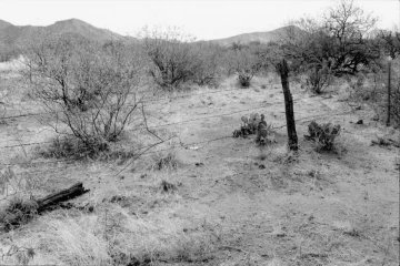 Photo Archive No. 112.2.2000.04