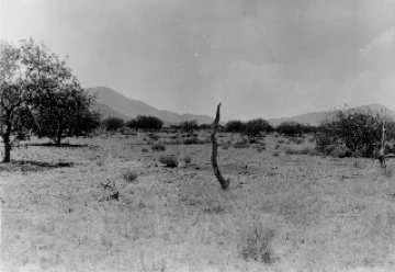 Photo Archive No. 112.1.1930.06 Photo Archive No. 112.1.1930.06