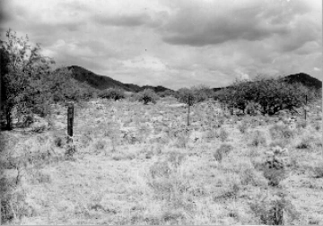 Photo Archive No. 112.1.1948.06