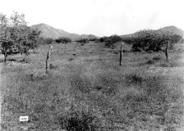 Photo Archive No. 112.1.1935.09