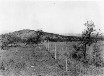 Photo Archive No. 116.1.1934.08