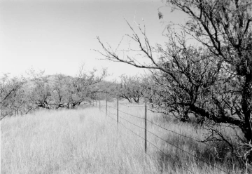 Photo Archive No. 116.1.1999.07