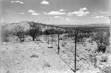 Photo Archive No. 116.1.1948.06