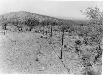 Photo Archive No. 116.1.1954.06