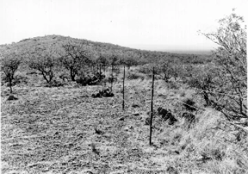 Photo Archive No. 116.1.1955.06