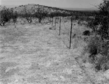 Photo Archive No. 116.1.1956.06