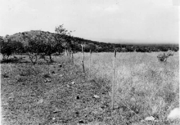Photo Archive No. 116.1.1932.09