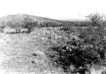 Photo Archive No. 116.1.1952.09