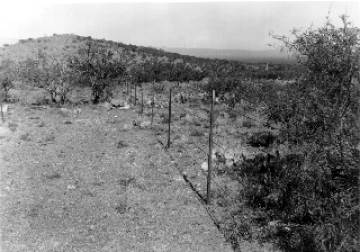 Photo Archive No. 116.1.1953.09