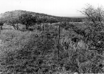 Photo Archive No. 116.1.1954.09