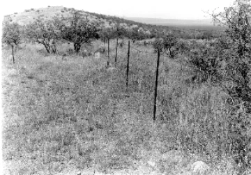 Photo Archive No. 116.1.1955.09