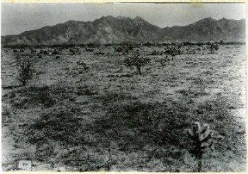 Photo Archive No. 132.2.1937.03