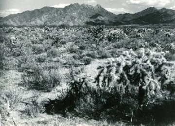 Photo Archive No. 132.2.1948.06