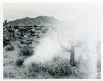 Photo Archive No. 132.2.1960.04