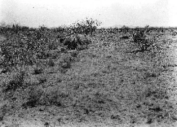 Photo Archive No. 134.1.1937.03