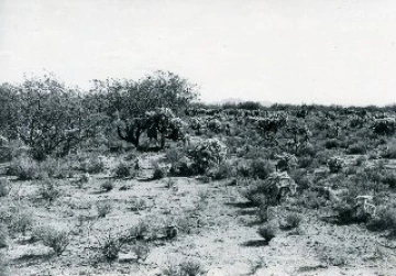 Photo Archive No. 134.1.1948.06
