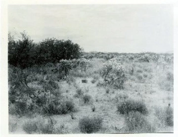 Photo Archive No. 134.1.1960.04