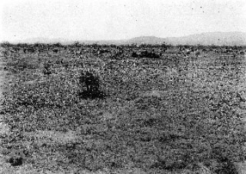 Photo Archive No. 134.2.1937.03