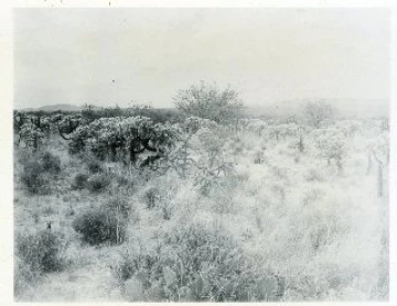 Photo Archive No. 134.2.1960.04
