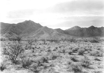 Photo Archive No. 181.1.1938.03.1