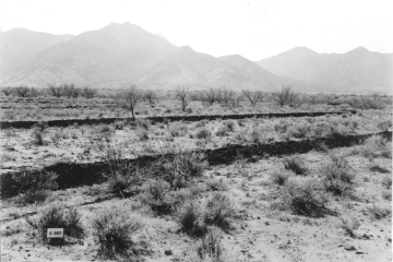 Photo Archive No. 181.1.1938.03.2