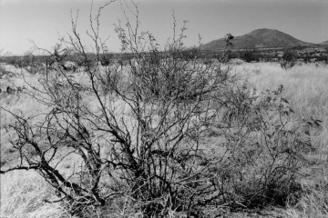 Photo Archive No. 220.1.2000.04