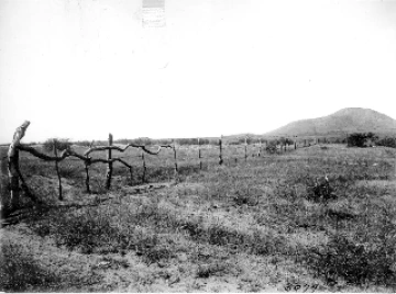 Photo Archive No. 220.1.1905 Photo Archive No. 220.1.1905