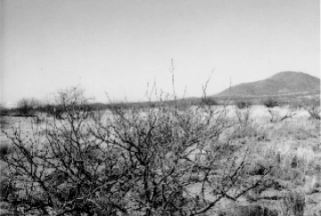 Photo Archive No. 220.1.1984.03