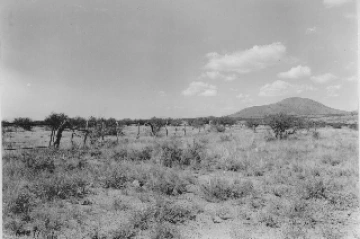 Photo Archive No. 220.1.1941.09