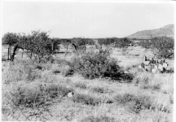 Photo Archive No. 220.1.1951.09
