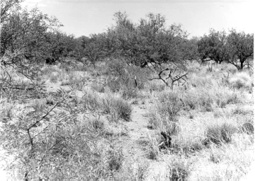 Photo Archive No. 228.1.1975.06