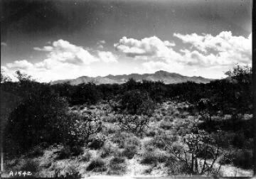 Photo Archive No. 228.1.1942