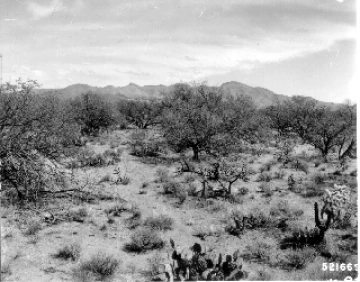 Photo Archive No. 228.1.1964.03
