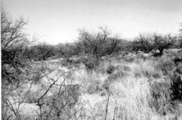 Photo Archive No. 228.1.1984.03