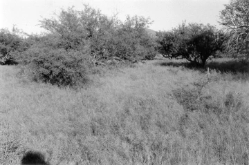 Photo Archive No. 228.2.1993.09