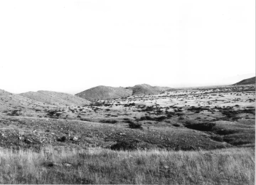 Photo Archive No. 229.1.1902
