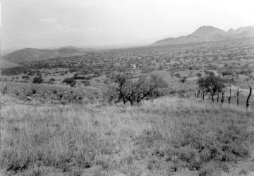 Photo Archive No. 229.1.1951.07.1