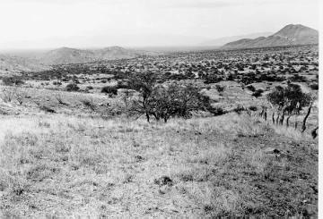 Photo Archive No. 229.1.1951.07.2