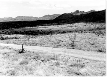 Photo Archive No. 229.2.1987.07