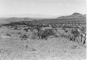 Photo Archive No. 229.1.1948.06