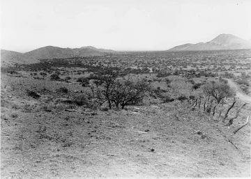 Photo Archive No. 229.1.1953.06
