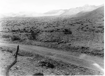 Photo Archive No. 229.2.1953.06