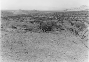 Photo Archive No. 229.1.1954.06