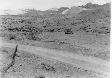 Photo Archive No. 229.2.1954.06