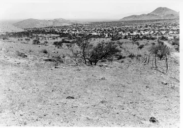 Photo Archive No. 229.1.1955.06