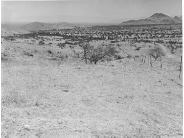 Photo Archive No. 229.1.1956.06